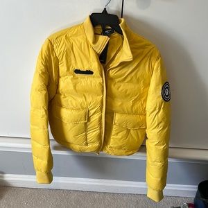 Yellow Bumble puffer